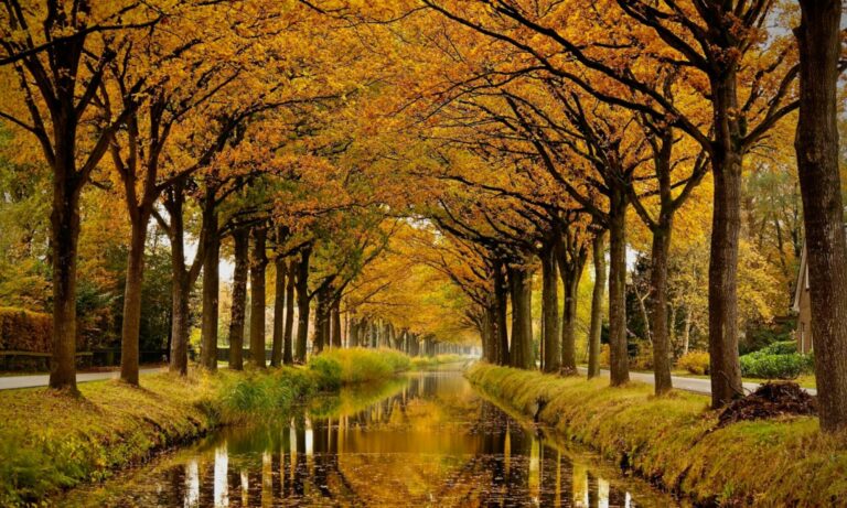 Algemene Leden Vergadering